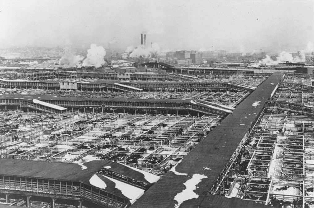 Overview of the Kansas City Stockyards, ca. 1930s